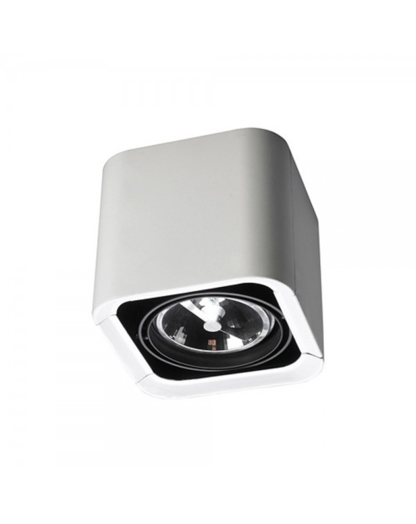 Baco 1 Surface Mounted Ceiling Light
