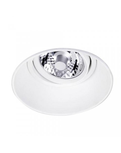 Dome Recessed Adjustable Downlight