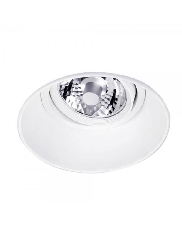 Dome Recessed Adjustable Downlight