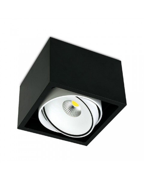Gran Kuvet Surface Mounted Downlight