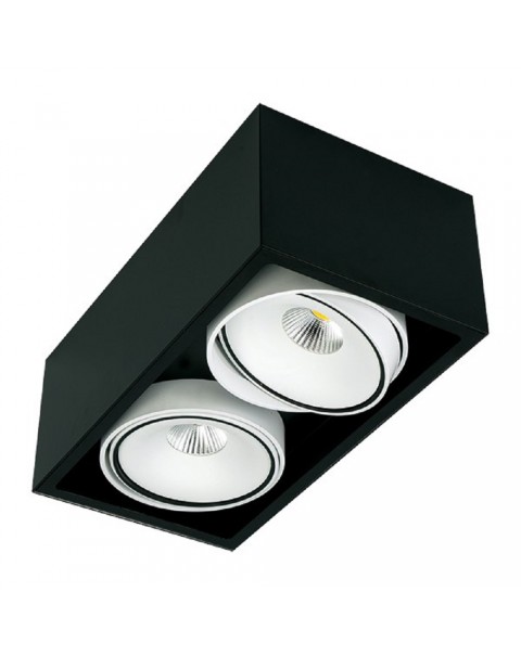 Gran Kuvet Surface Mounted Downlight