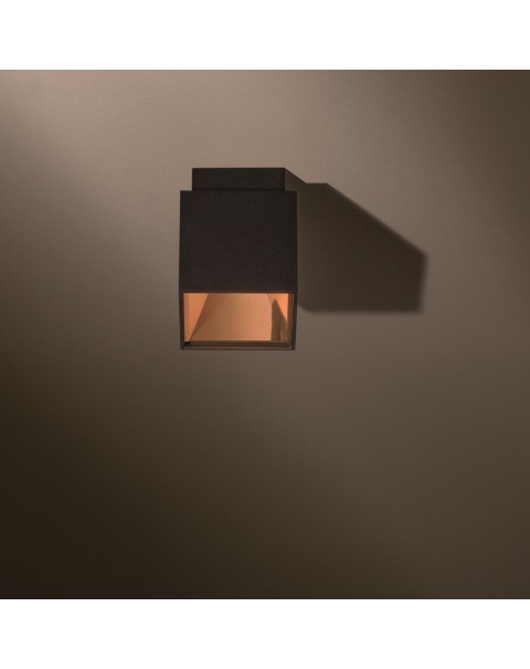 Bart Surface Mounted Ceiling Light