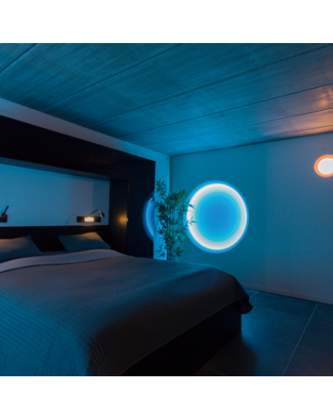 Brick in the Wall Floyd Ceiling and Wall Light