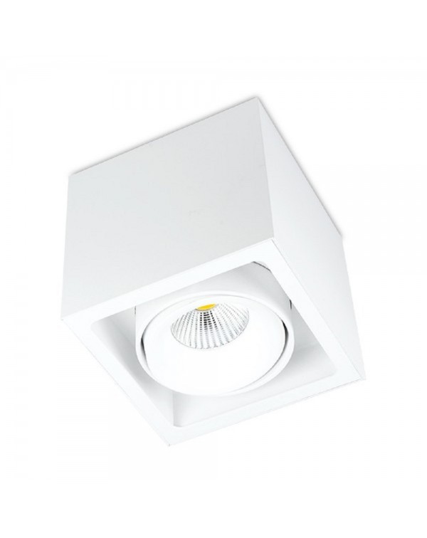 Kuvet Surface Mounted Downlight