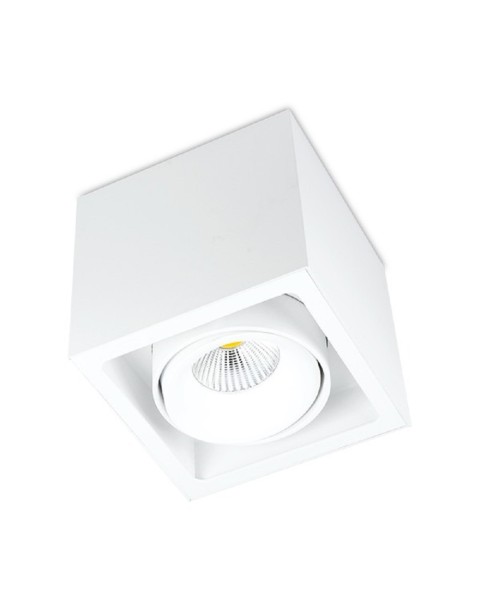 Kuvet Surface Mounted Downlight