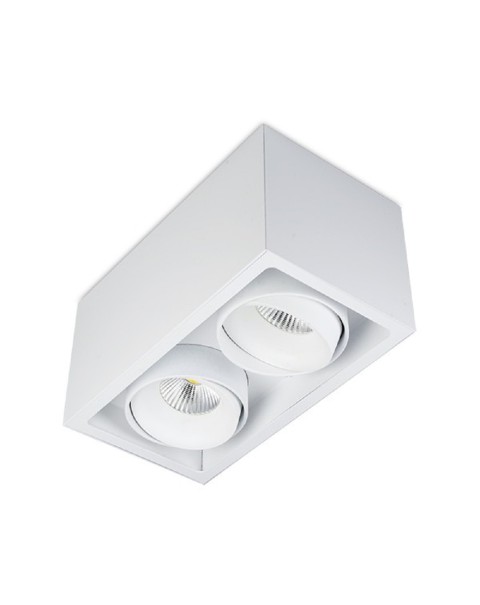 Kuvet Surface Mounted Downlight
