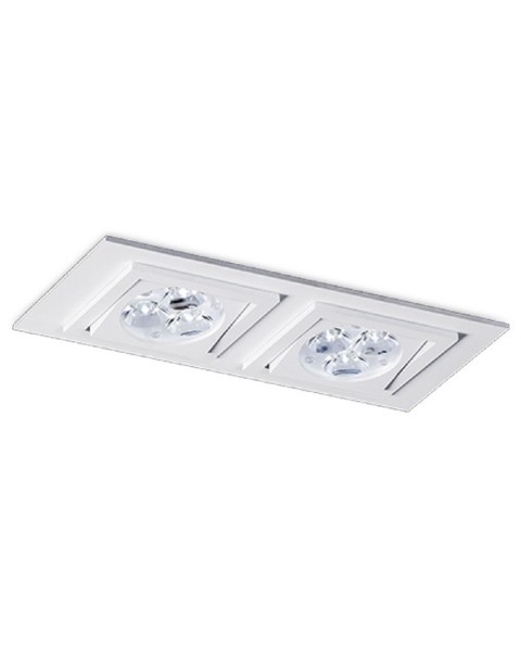 Square Double Downlight
