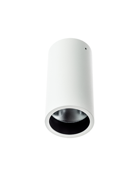 Surface Spot Fixed Downlight