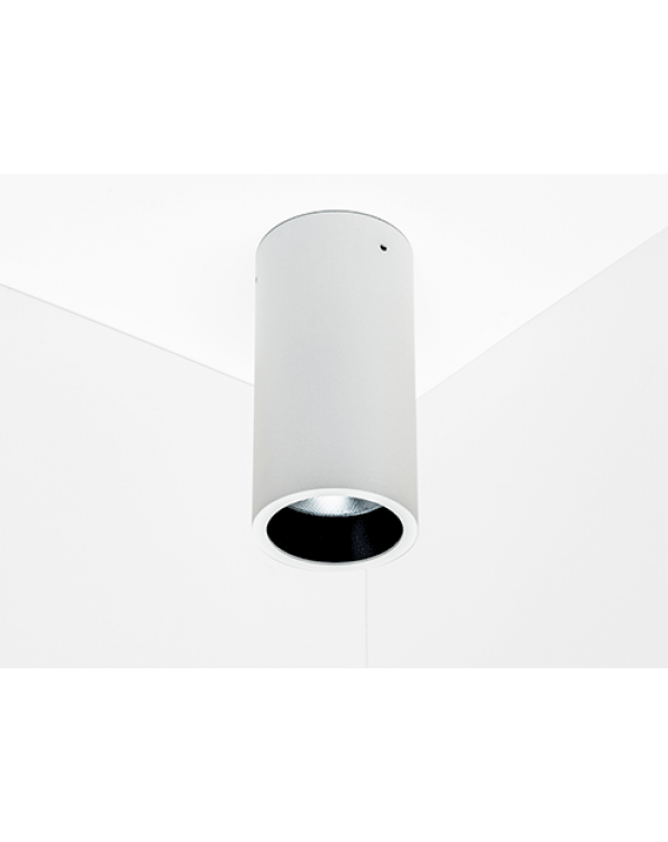 Surface Spot Fixed Downlight