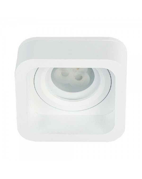 Yuva Downlight